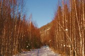 img_15.02.2008 16-56-02